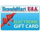 $100 Electronic Gift Card